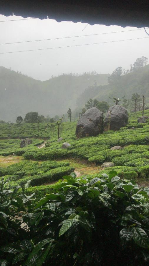 Holacasa cottages Munnar Esterno foto