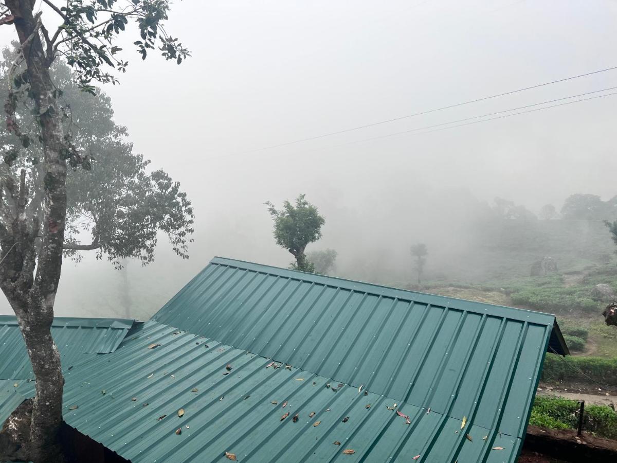 Holacasa cottages Munnar Esterno foto